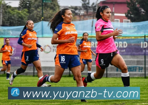 雨燕体育直播发展历程