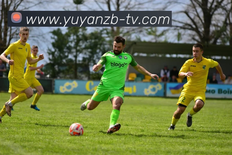 五大联赛的幕后英雄走进球场志愿者聆听他们与足球的温情故事